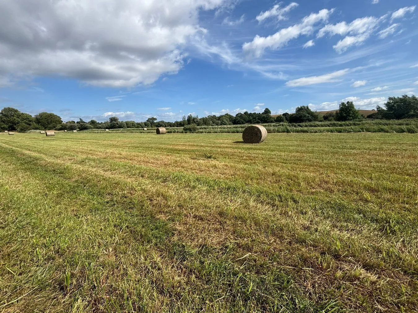 property for sale in Lot B - Langmead Drove, Middlezoy, TA7 - Guide price £6,000