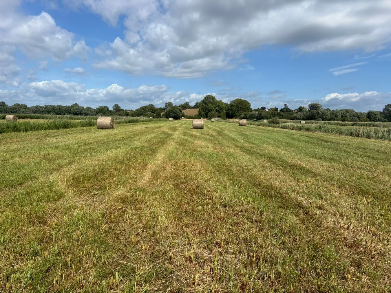 property for sale in Lot B - Langmead Drove, Middlezoy, TA7 - Guide price £6,000