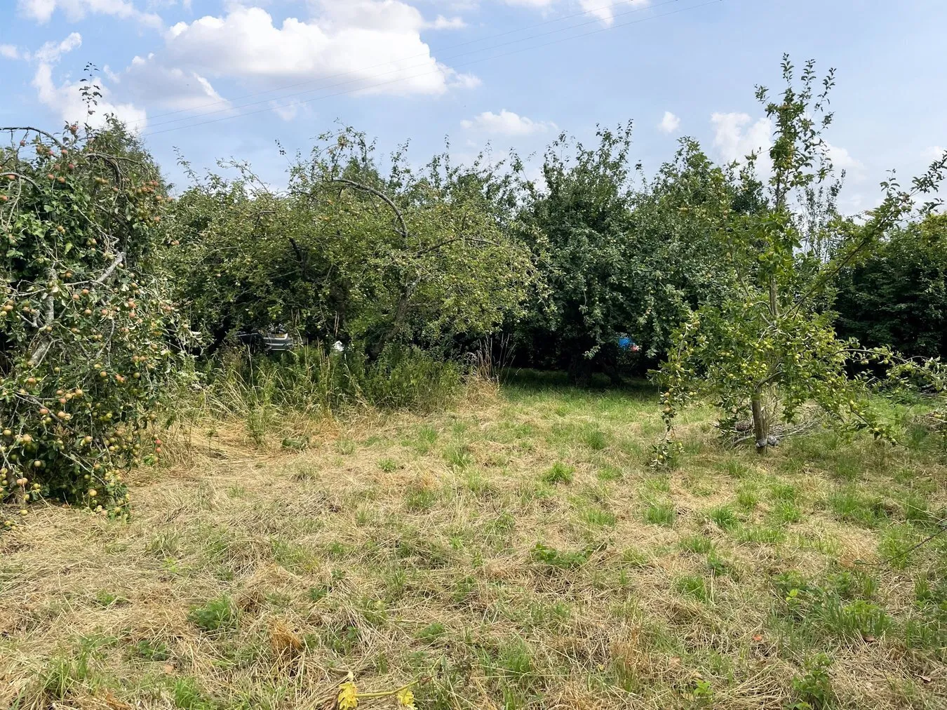 property for sale in Small Way Lane, Galhampton, Castle Cary, BA22 - Guide price £25,000