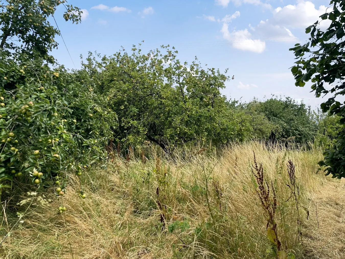 property for sale in Small Way Lane, Galhampton, Castle Cary, BA22 - Guide price £25,000