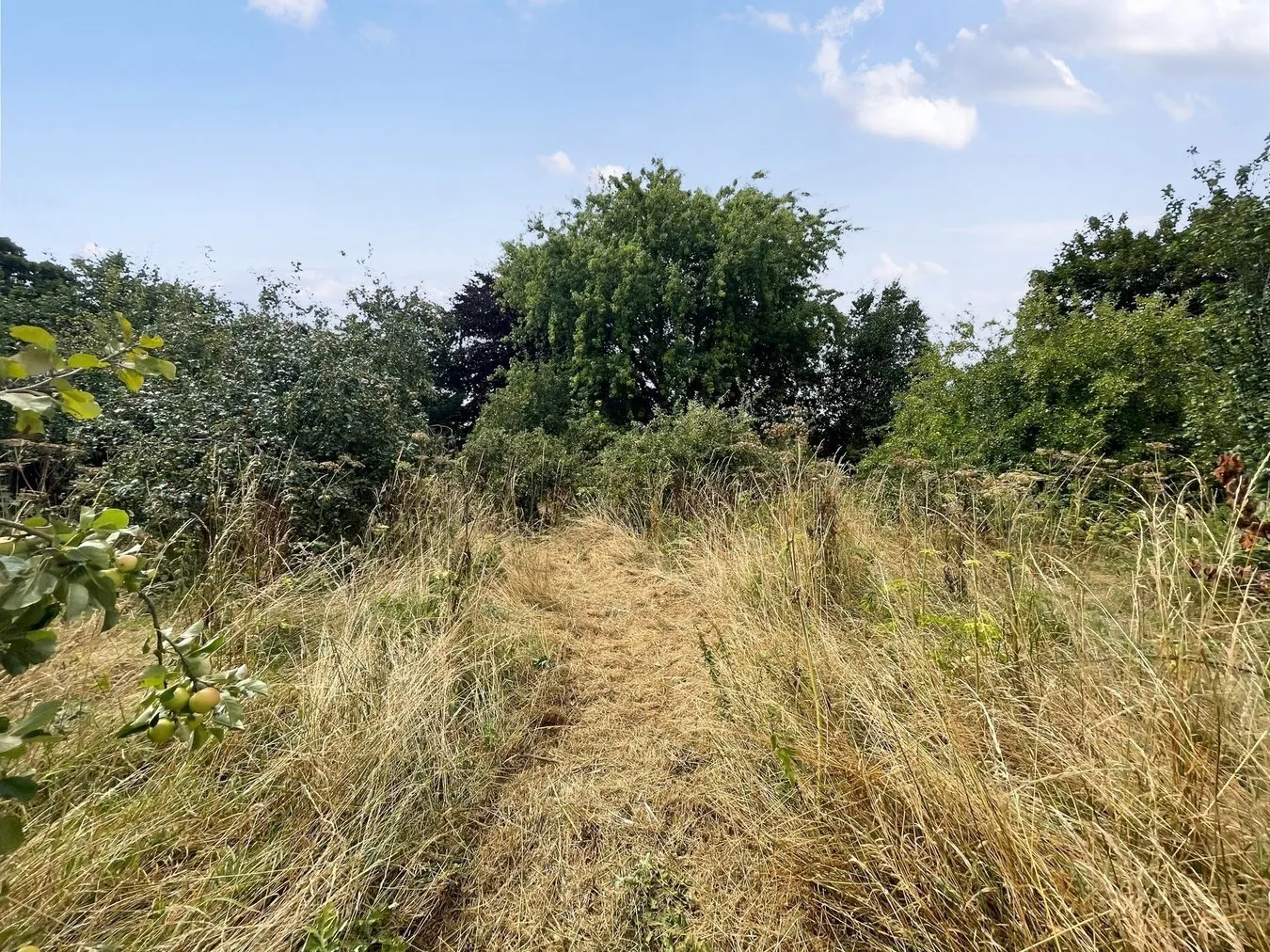 property for sale in Small Way Lane, Galhampton, Castle Cary, BA22 - Guide price £25,000