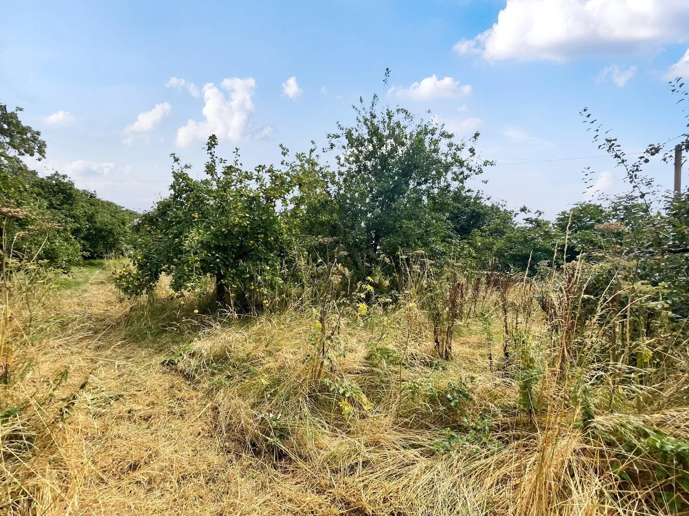 property for sale in Small Way Lane, Galhampton, Castle Cary, BA22 - Guide price £25,000