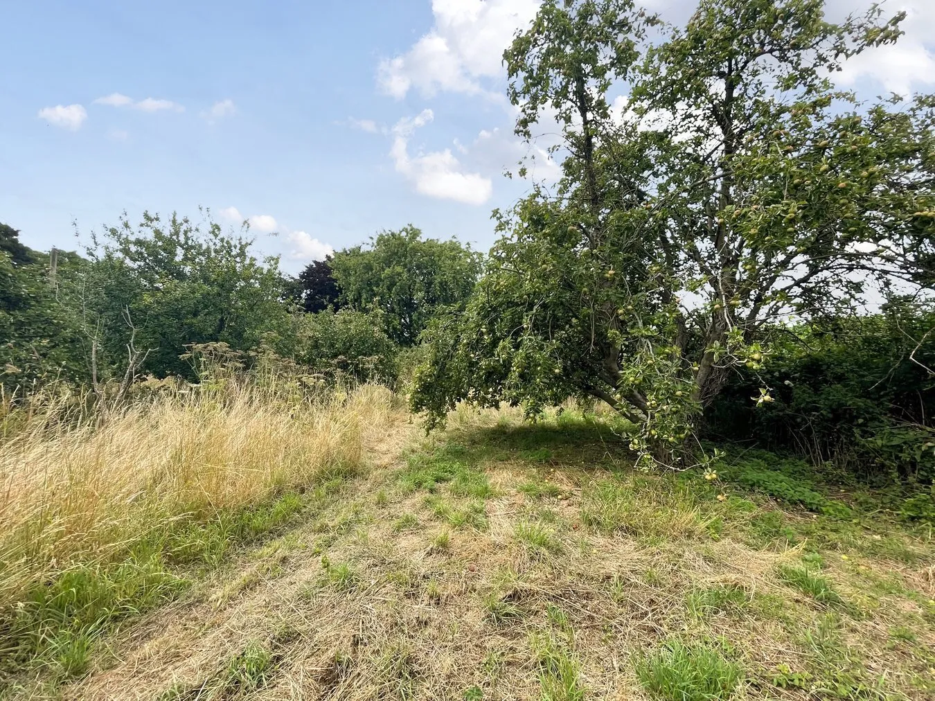 property for sale in Small Way Lane, Galhampton, Castle Cary, BA22 - Guide price £25,000