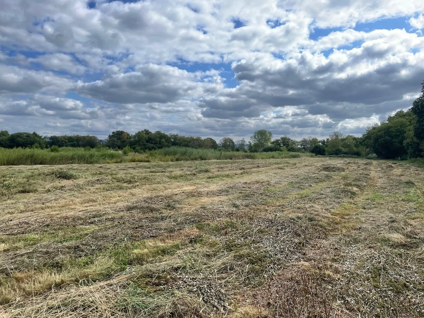property for sale in Oaks Drove, Westhay Moor, Westhay, BA6 - Guide price £35,000