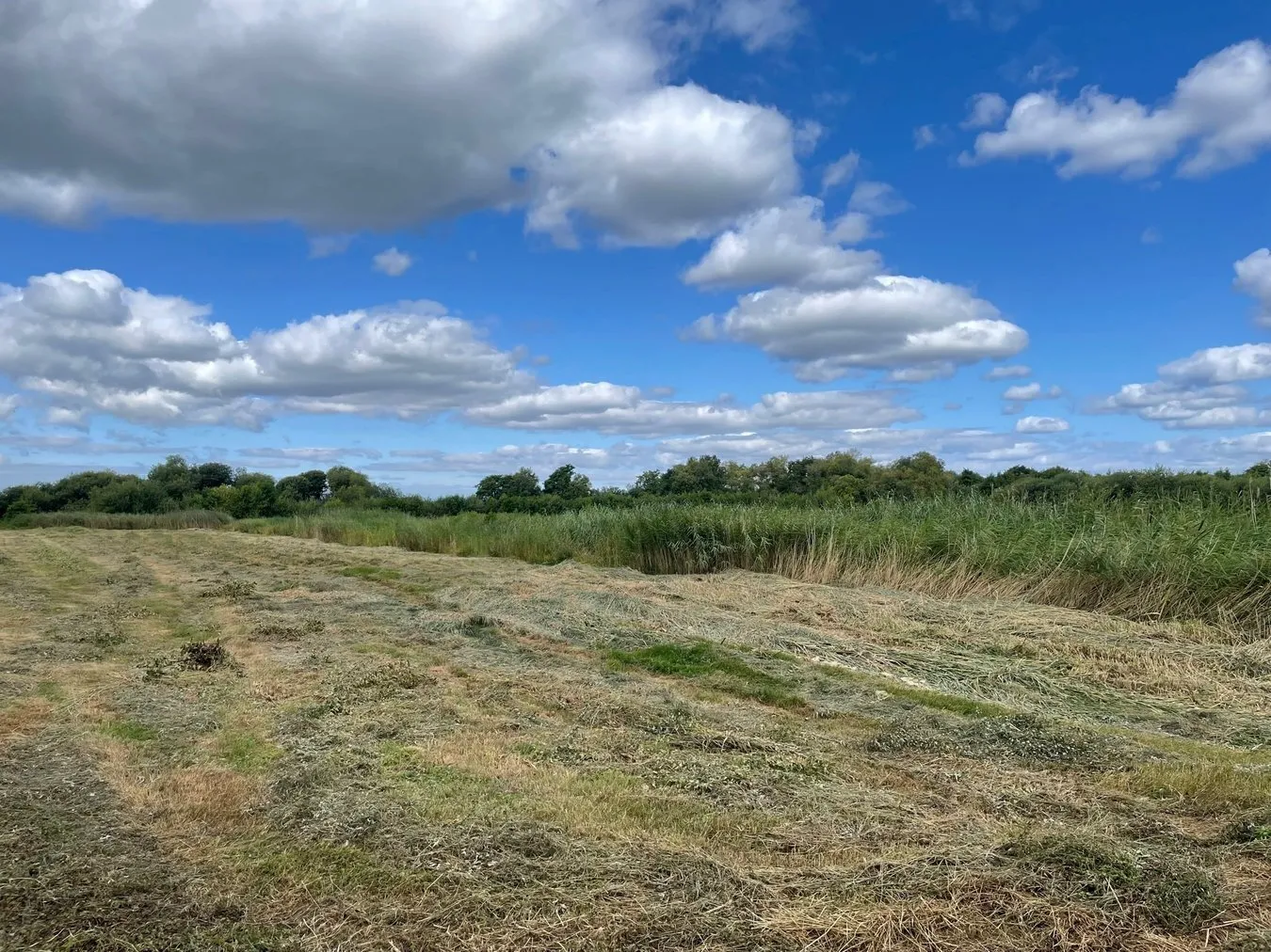 property for sale in Oaks Drove, Westhay Moor, Westhay, BA6 - Guide price £35,000
