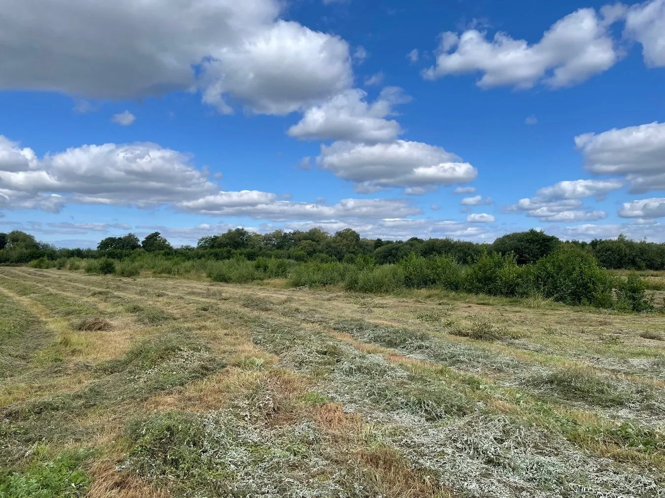 property for sale in Oaks Drove, Westhay Moor, Westhay, BA6 - Guide price £35,000