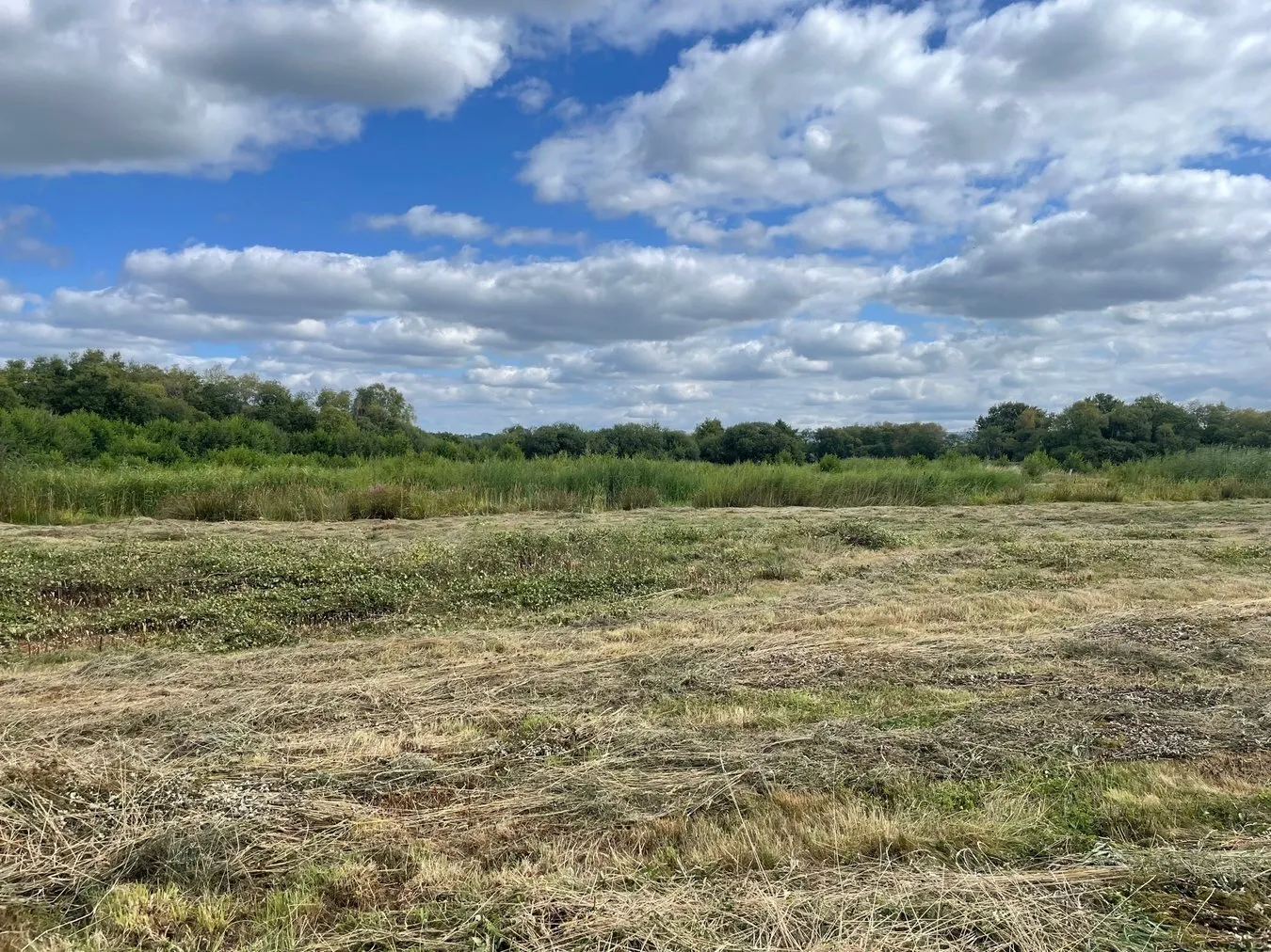 property for sale in Oaks Drove, Westhay Moor, Westhay, BA6 - Guide price £35,000