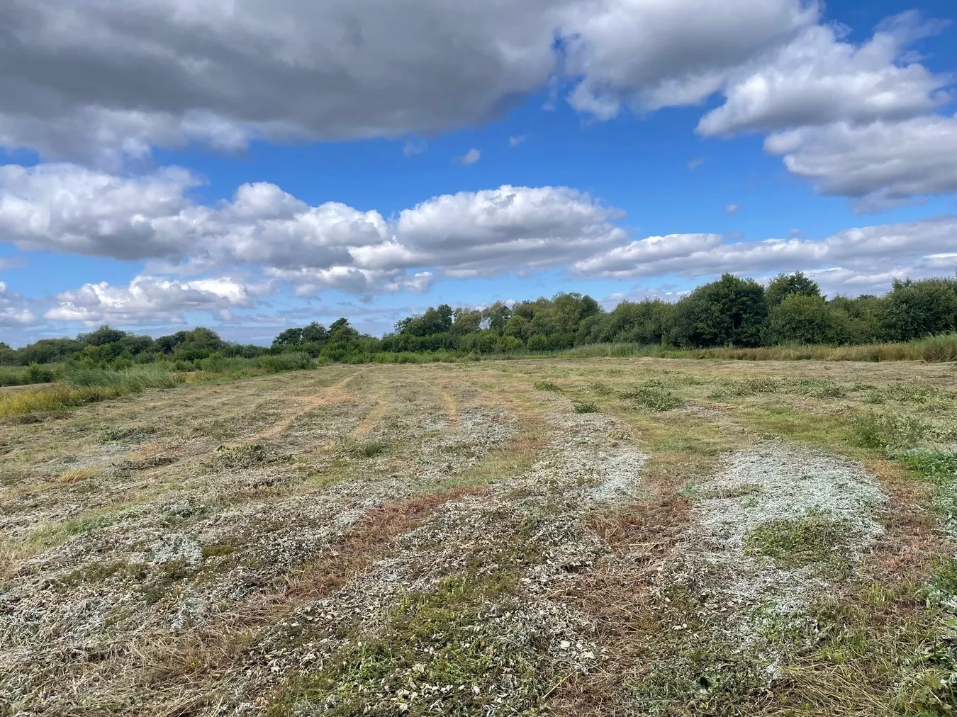 property for sale in Oaks Drove, Westhay Moor, Westhay, BA6 - Guide price £35,000