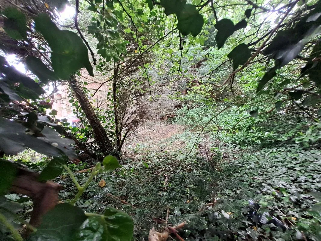 Freehold Vacant Detached House with Potential Building Plot