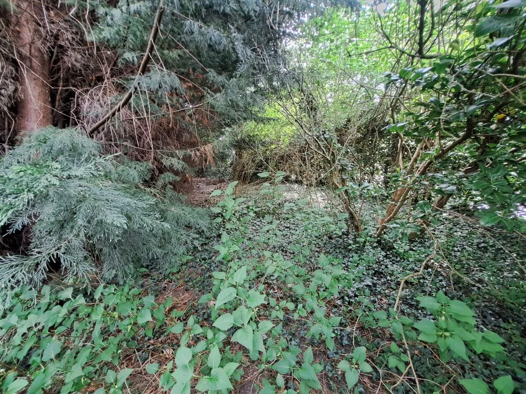 Freehold Vacant Detached House with Potential Building Plot