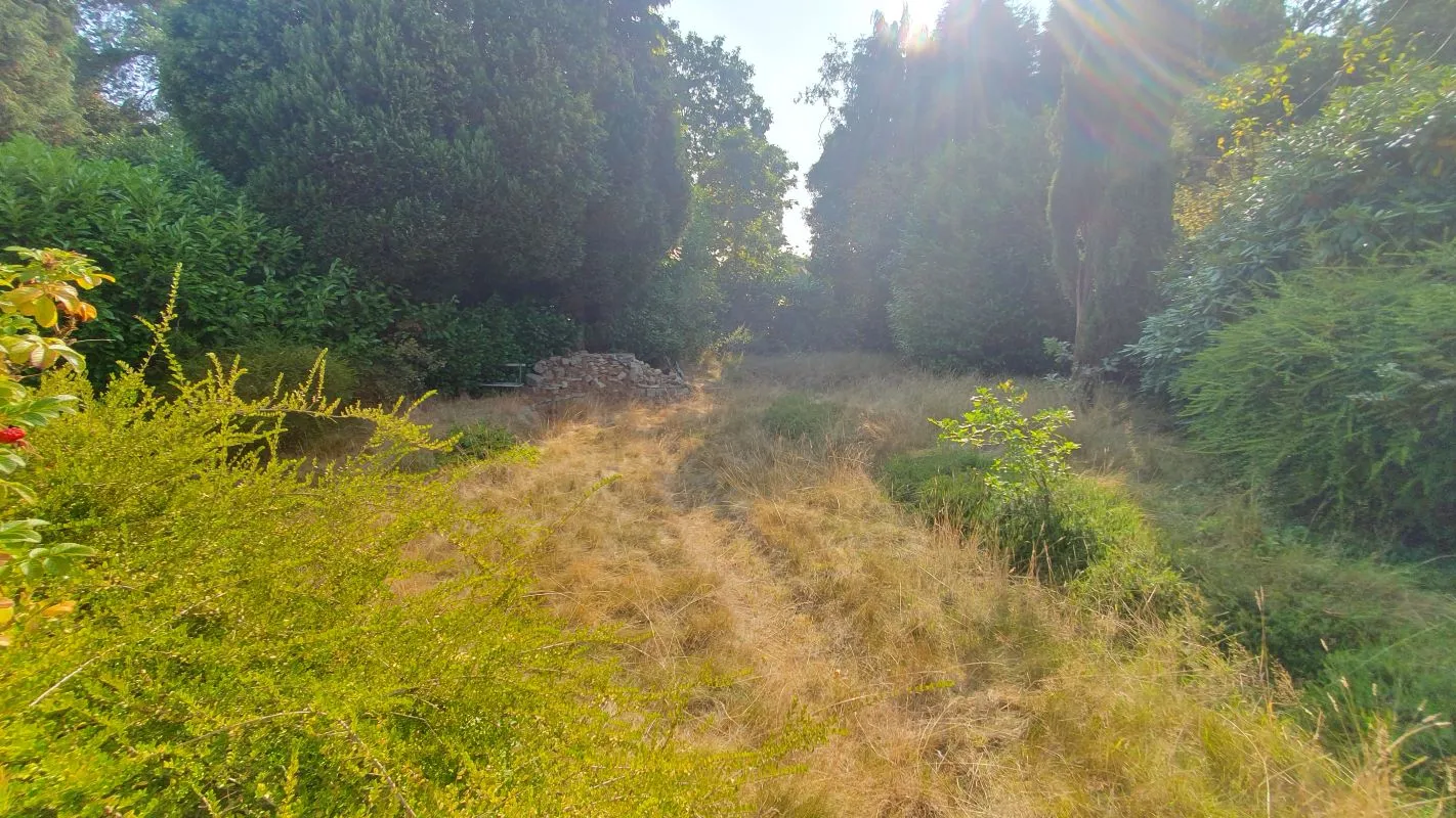 Freehold Vacant Detached House requiring Refurbishment/Redevelopment