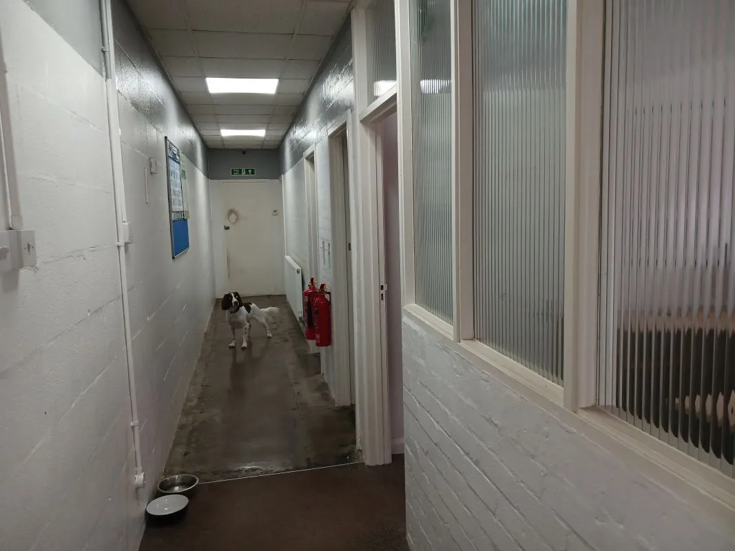 Freehold Vacant Detached Industrial Unit And Yard (16,000 sq.ft)