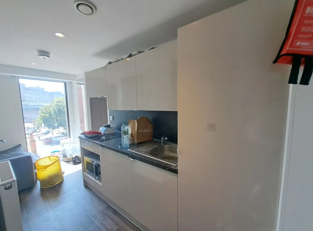 Leasehold Investment (Student Accommodation Flat).