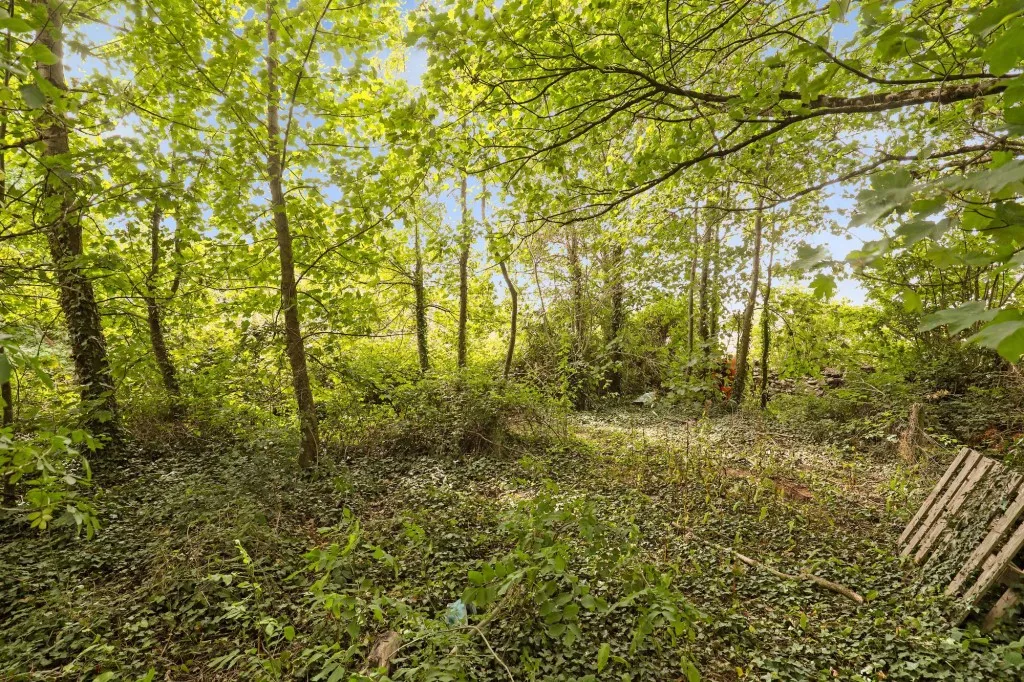 Main Road, Cleeve, BS49