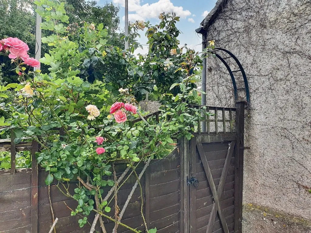 Main Road, Cleeve, BS49