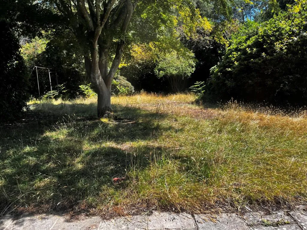 3 bed Detached Bungalow