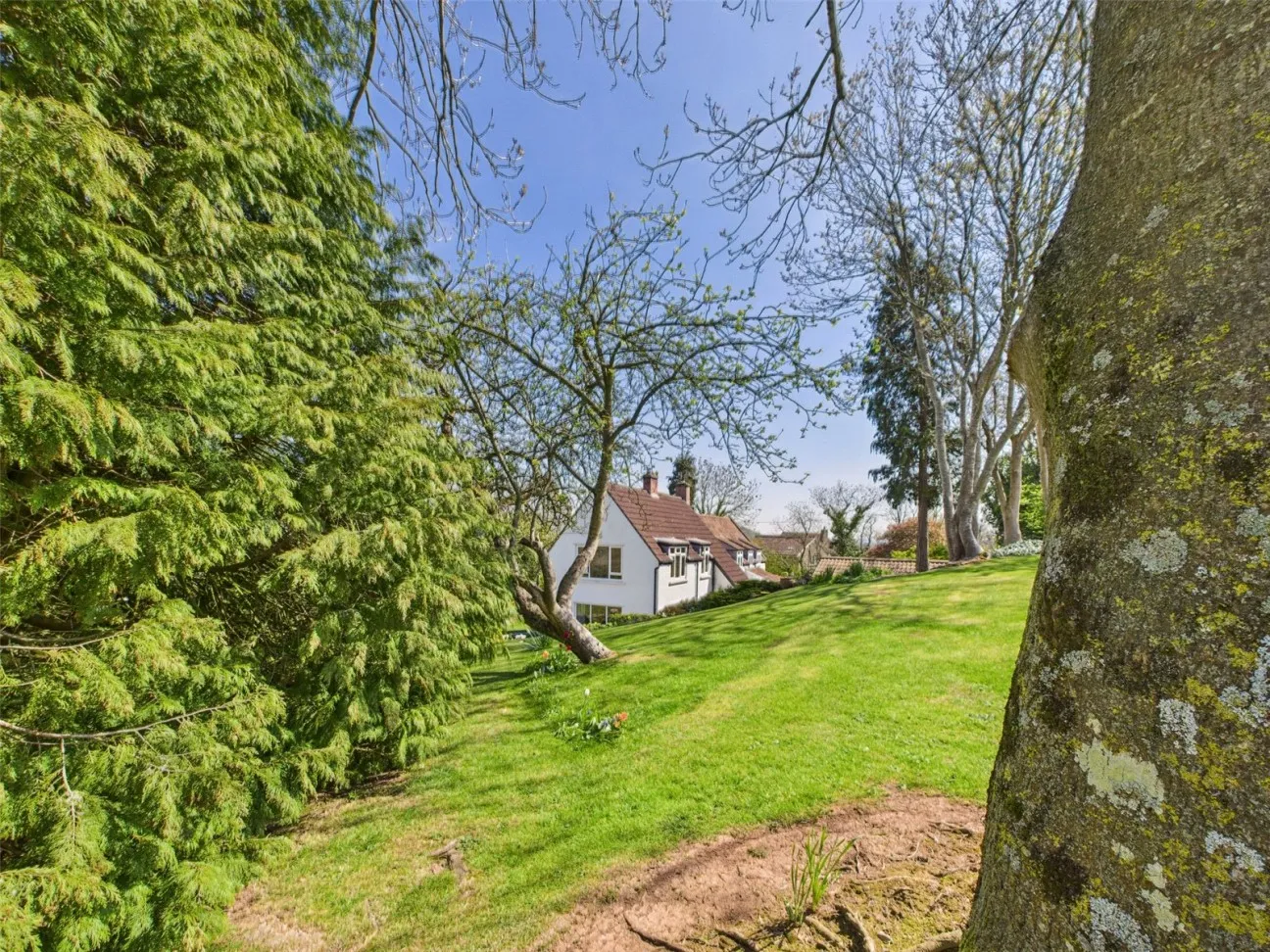 5 Bed  Detached house  For Sale