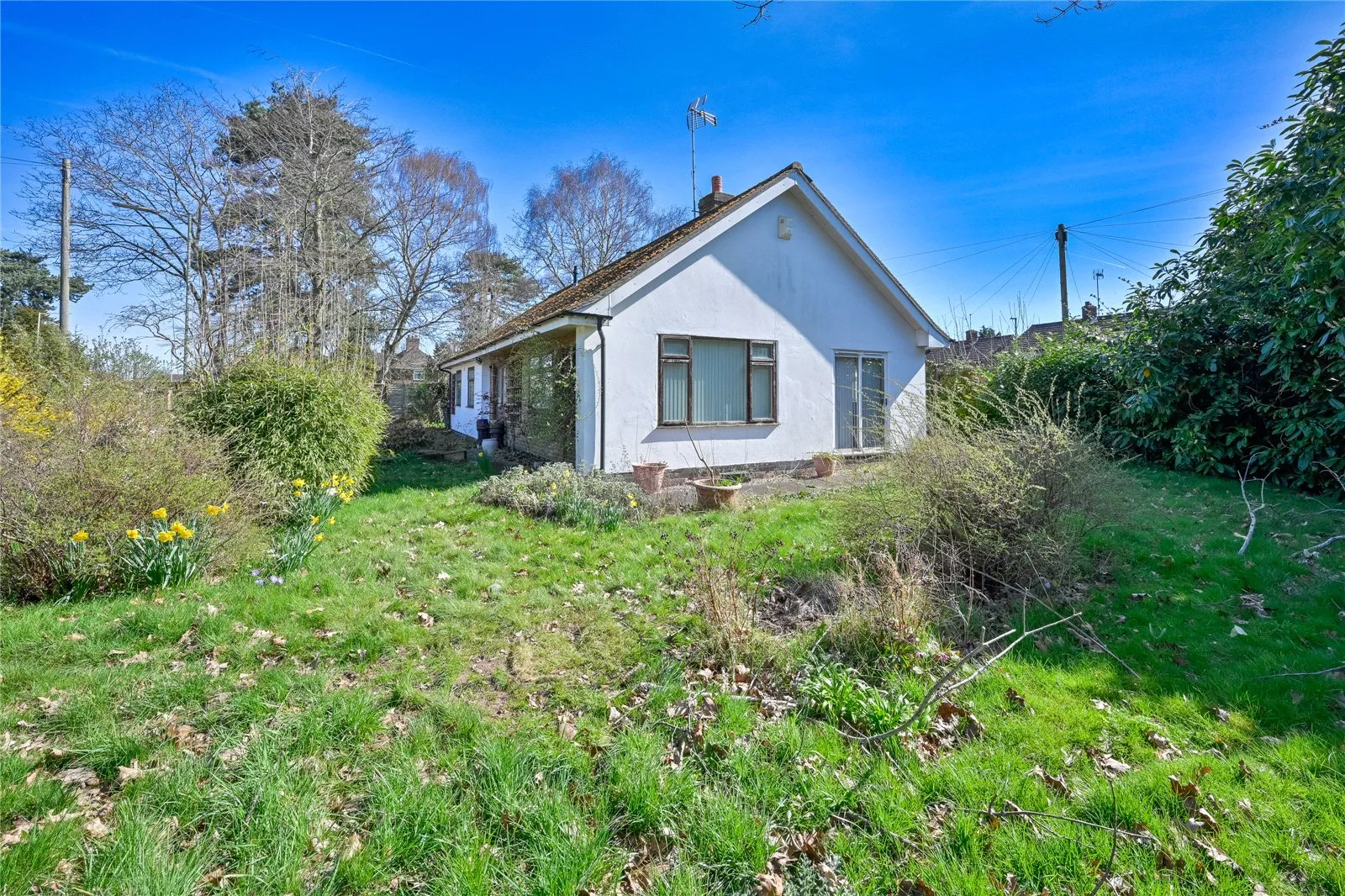 2 bed Detached Bungalow