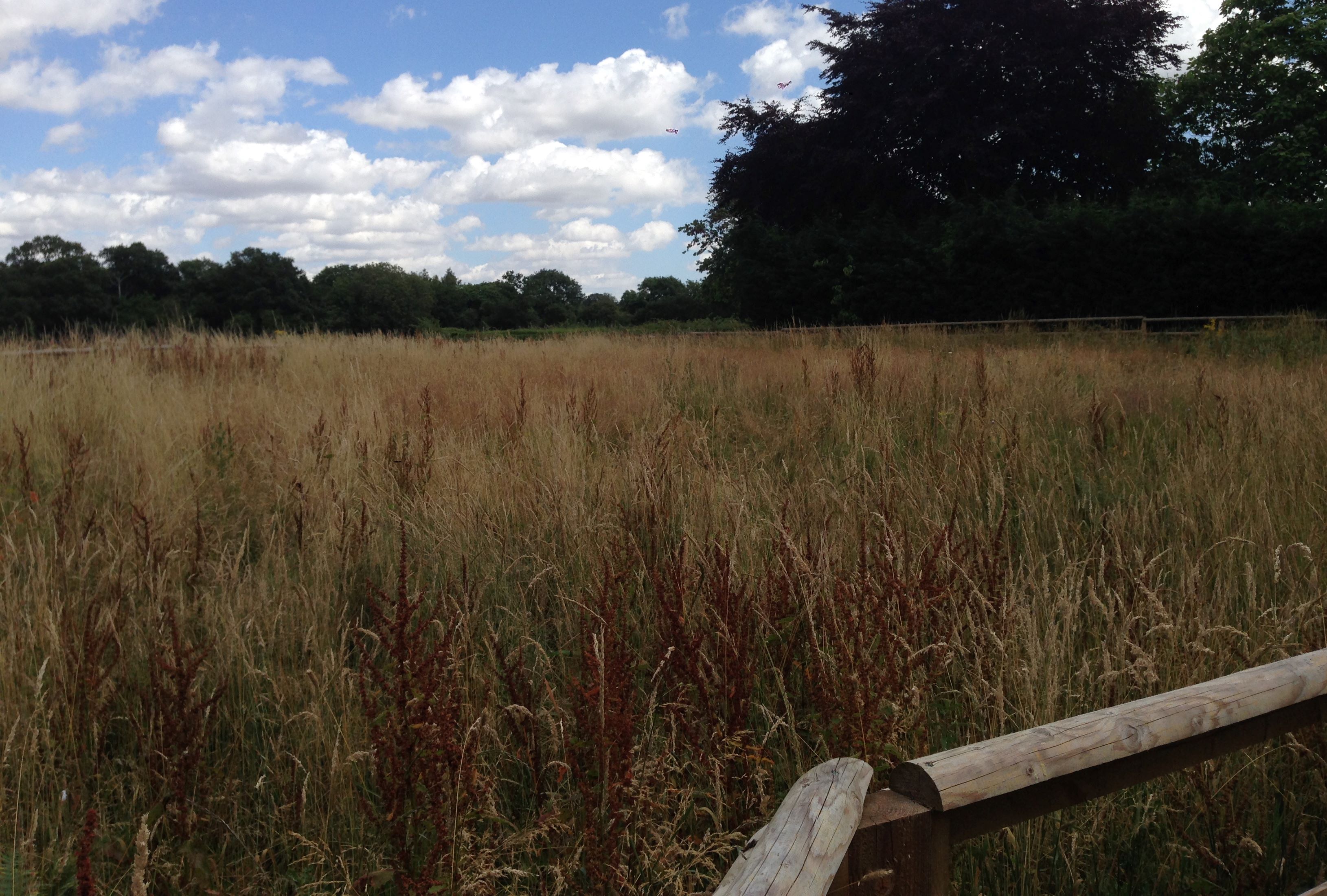 A paddock of approximately 0.38 acre enclosed by wooden fencing with a movable modern wooden stable block suitable for two horses plus a tack room.