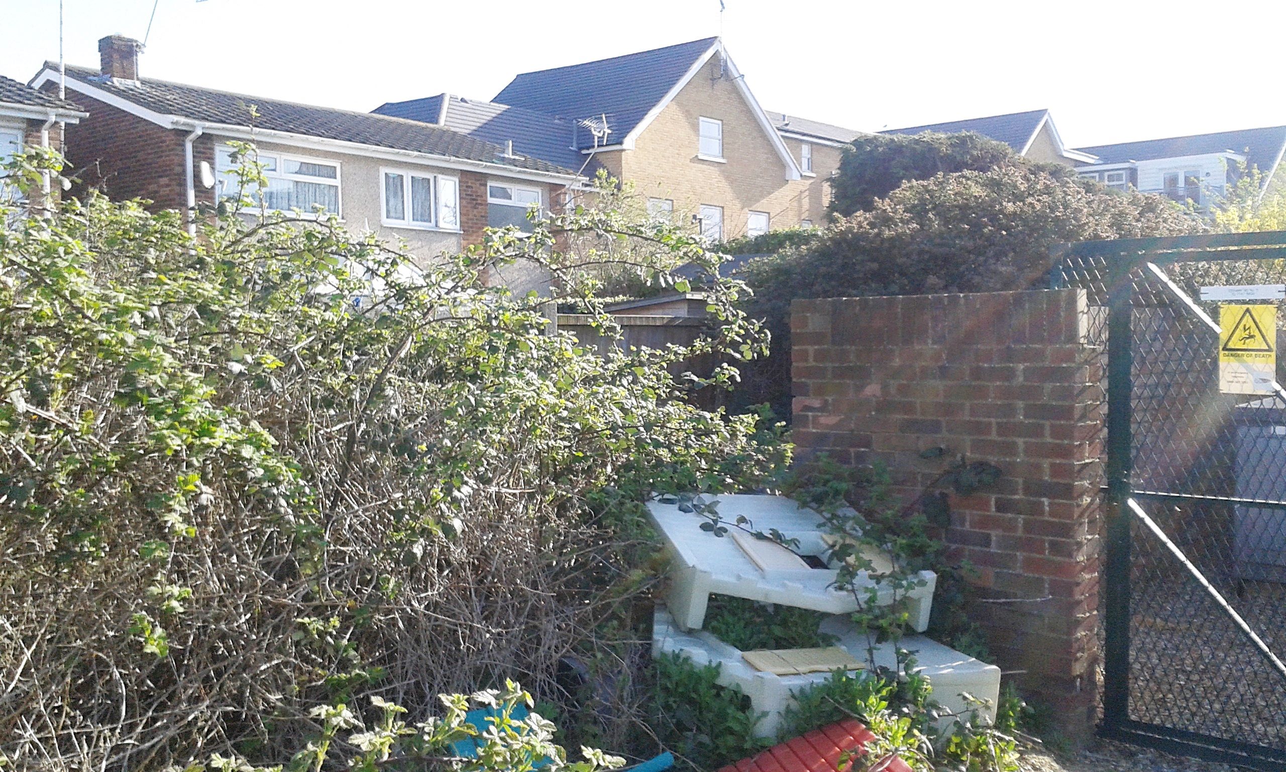 NO RESERVE: FREEHOLD LAND, PATHS AND DRIVEWAY WITH FURTHER POTENTIAL FOR IMPROVEMENT.