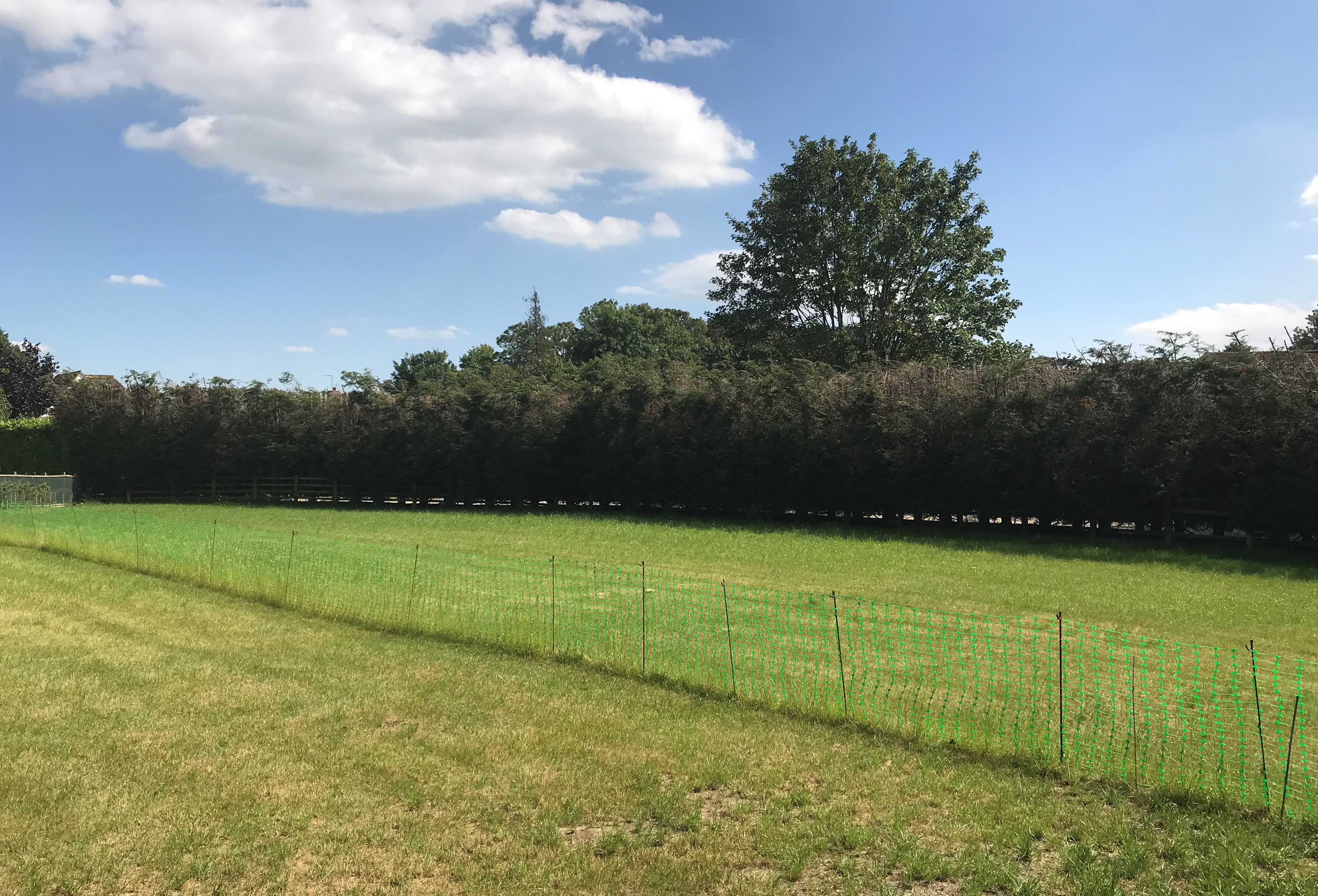 DEVELOPMENT OPPORTUNITY: A FREEHOLD PLOT OF LAND MEASURING APPROX 0.32 ACRES CONSIDERED TO HOLD DEVELOPMENT POTENTIAL SUBJECT TO PLANNING