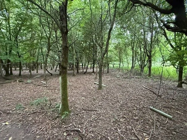 LAND INVESTMENT: A VACANT PARCEL OF WOODLAND MEASURING 6.6 ACRES IN SEMI RURAL VILLAGE FRONTING ONTO, AND GIVING VEHICLE ACCESS FROM, CHURCH LANE 