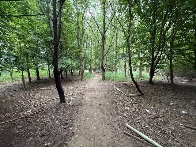 LAND INVESTMENT: A VACANT PARCEL OF WOODLAND MEASURING 6.6 ACRES IN SEMI RURAL VILLAGE FRONTING ONTO, AND GIVING VEHICLE ACCESS FROM, CHURCH LANE 