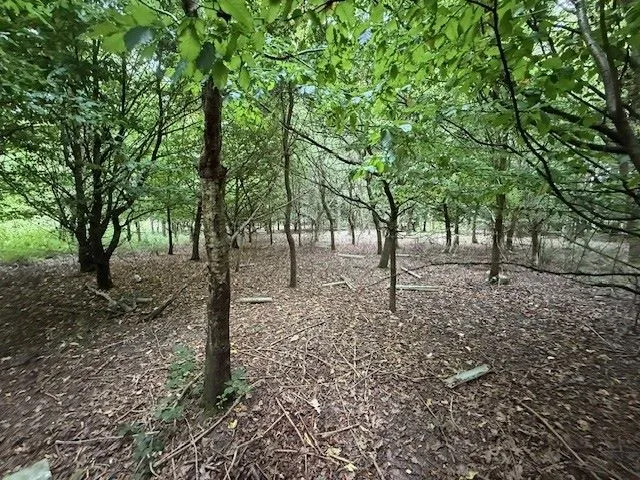 LAND INVESTMENT: A VACANT PARCEL OF WOODLAND MEASURING 6.6 ACRES IN SEMI RURAL VILLAGE FRONTING ONTO, AND GIVING VEHICLE ACCESS FROM, CHURCH LANE 