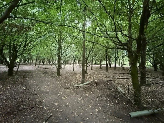 LAND INVESTMENT: A VACANT PARCEL OF WOODLAND MEASURING 6.6 ACRES IN SEMI RURAL VILLAGE FRONTING ONTO, AND GIVING VEHICLE ACCESS FROM, CHURCH LANE 