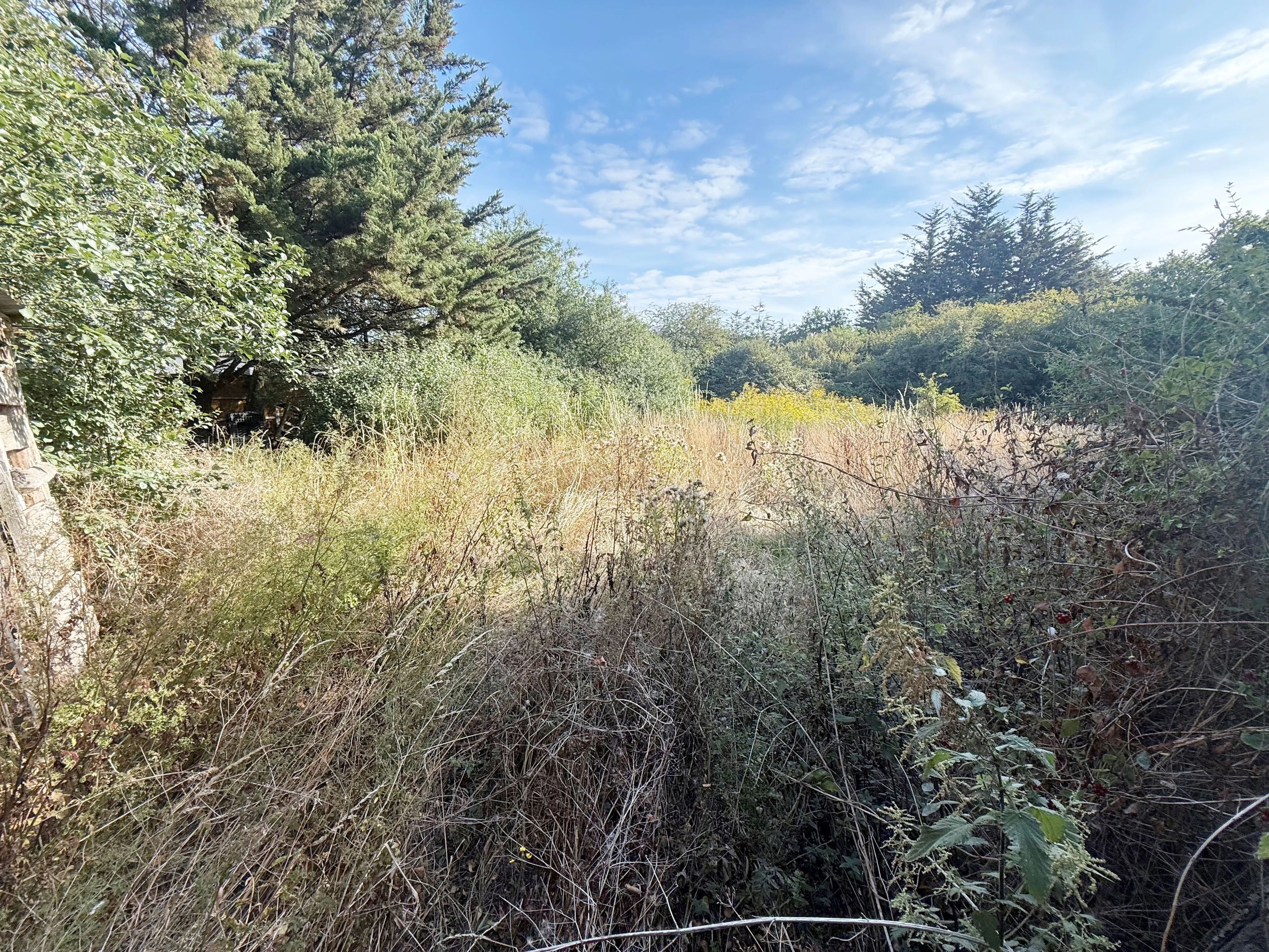 DEVELOPMENT POTENTIAL:  VACANT FREEHOLD 3 BEDROOM DETACHED HOUSE WITH 3 STABLES ON A 0.87 ACRE GREEN BELT PLOT OFFERS SCOPE FOR REDEVELOPMENT. 