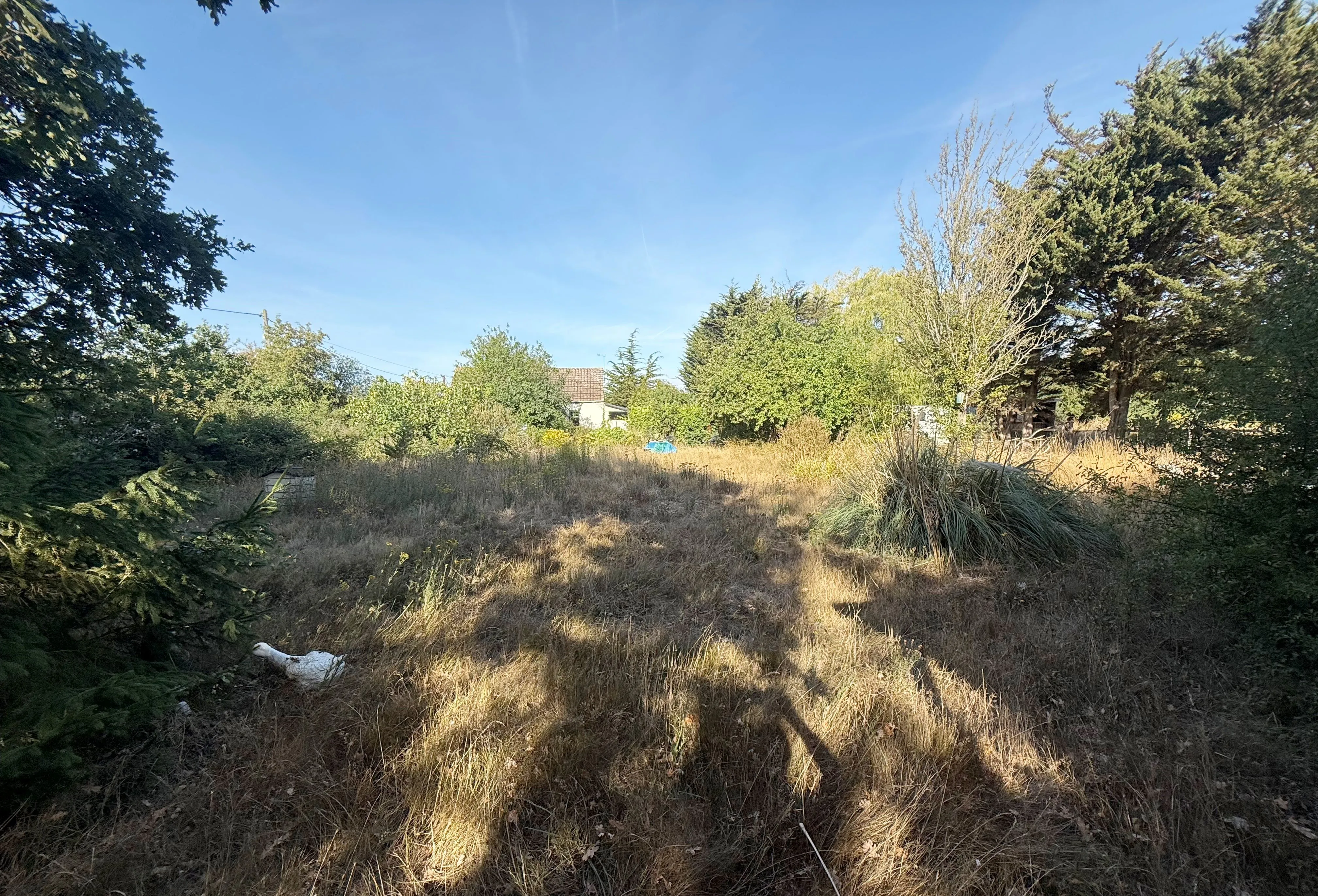 DEVELOPMENT OPPORTUNITY: VACANT FREEHOLD DETACHED HOUSE ON A 0.87 ACRE GREEN BELT PLOT WITH THREE STABLES OFFERS POTENTIAL REDEVELOPMENT