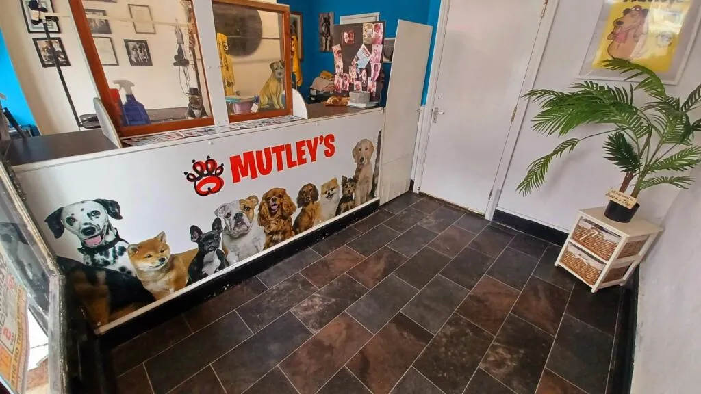 4 bed Commercial Property