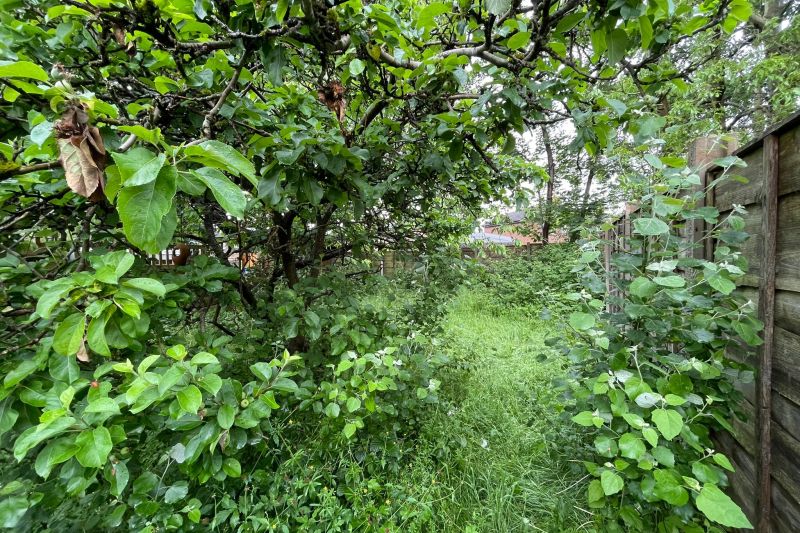 3 bed Semi-Detached House For Auction
