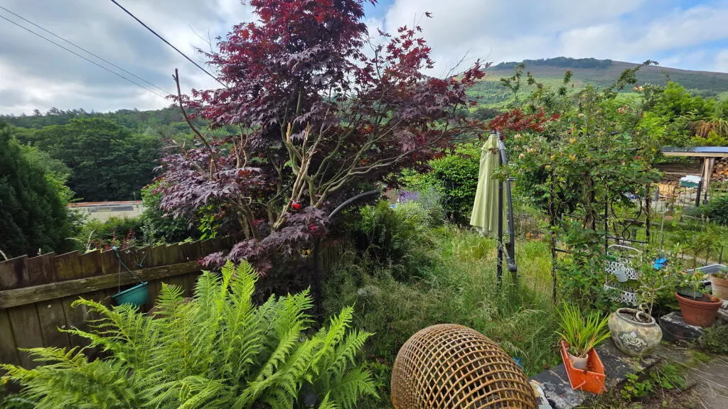 2 bed Terraced