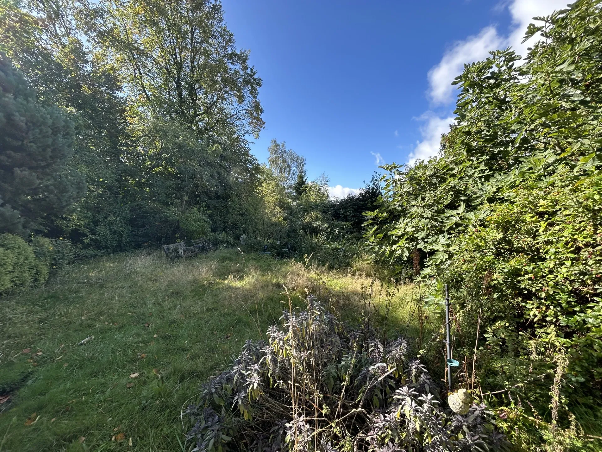 5 bed Detached