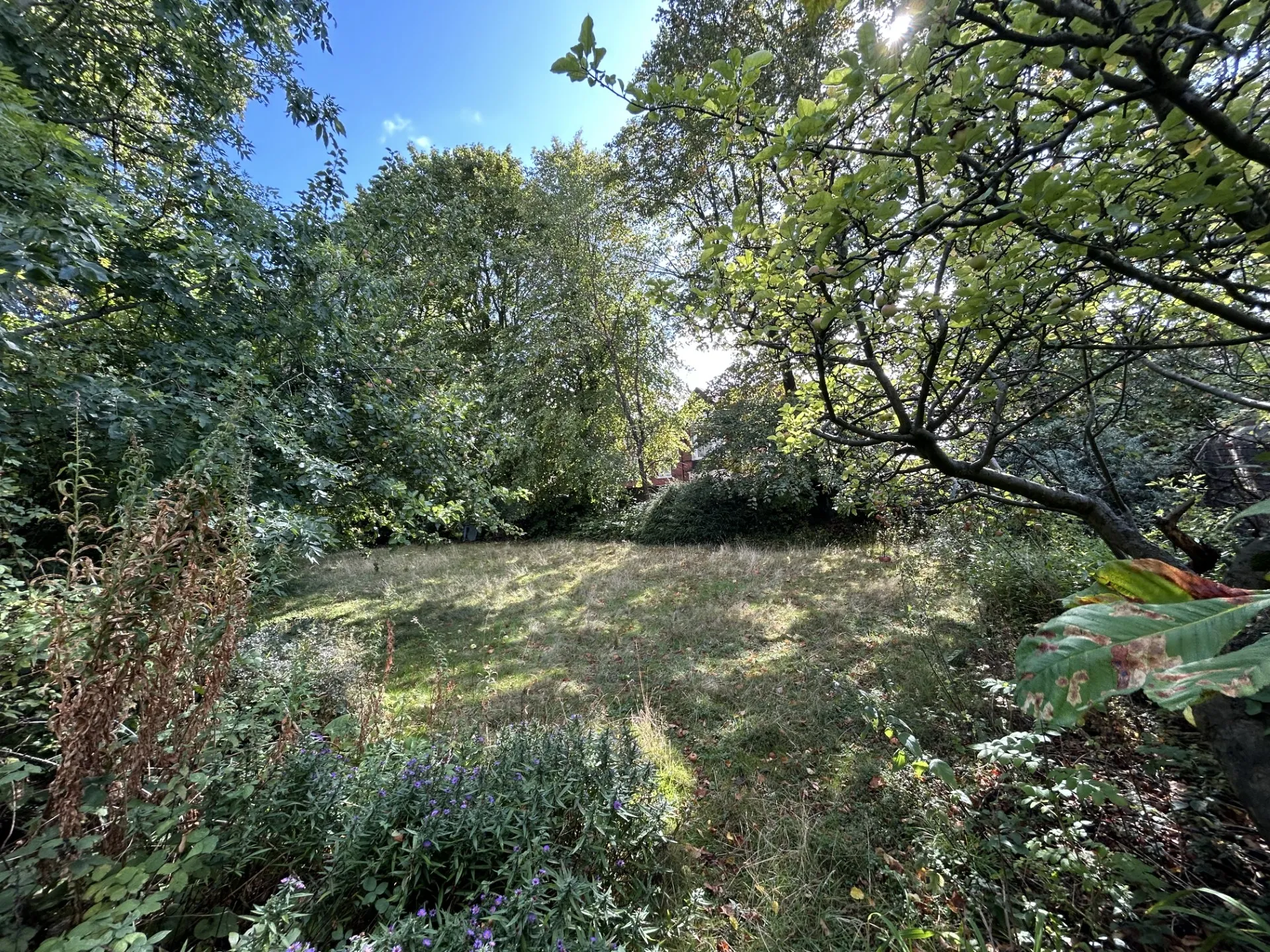 5 bed Detached