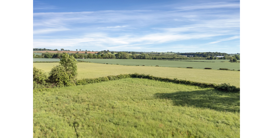 Approximately 1.42 acres of grazing land 