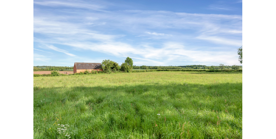 Approximately 1.42 acres of grazing land 