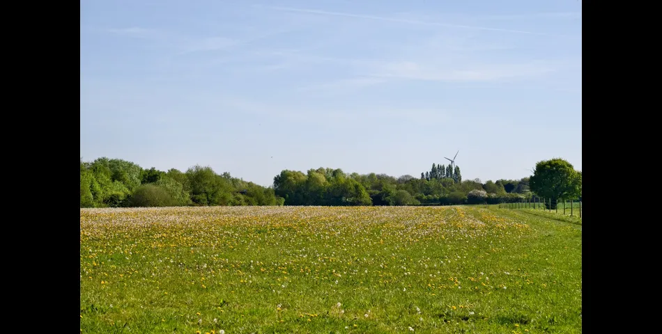 Land South of the A42