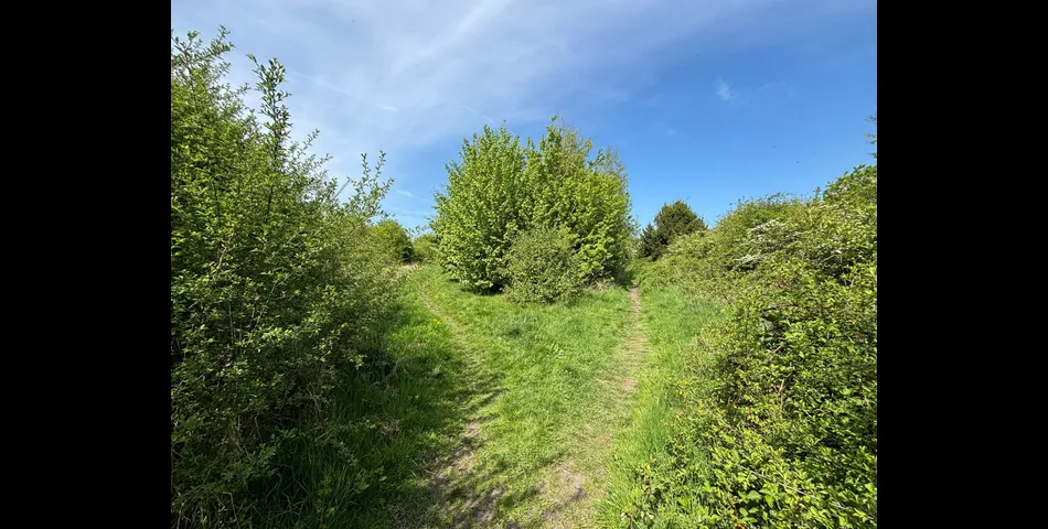 Land at Swannington - Lot 10