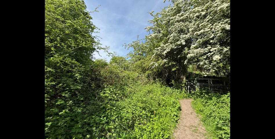 Land at Swannington - Lot 10