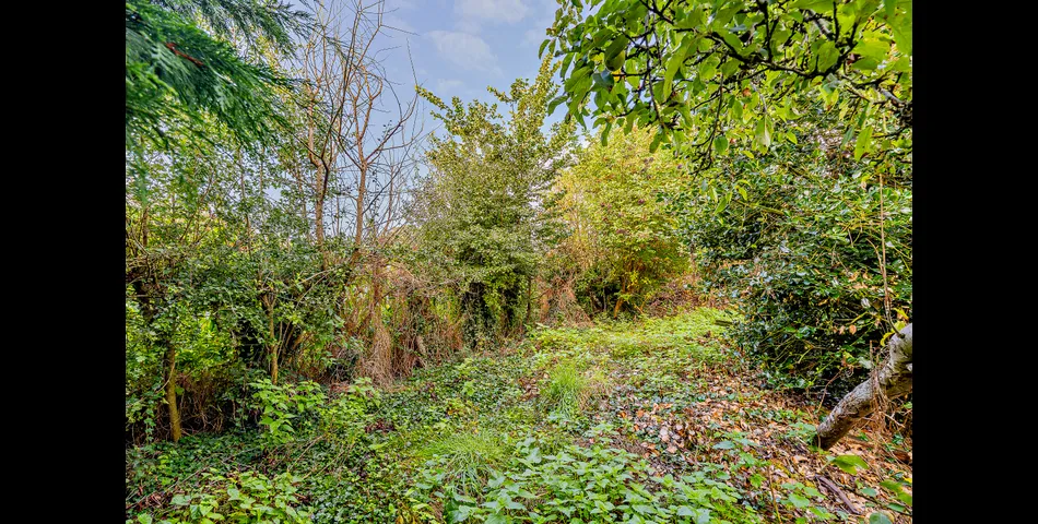 Rosemount & Lorne Cottage - Two Charming semi-detached cottages, offering scope to extend and upgrade STP 