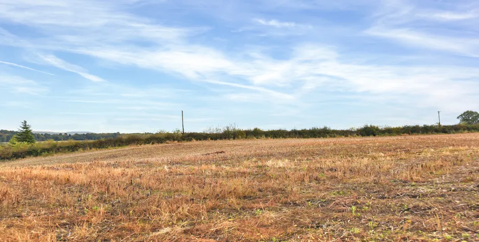 Land off Bog Lane, Melbourne