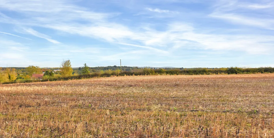 Land off Bog Lane, Melbourne