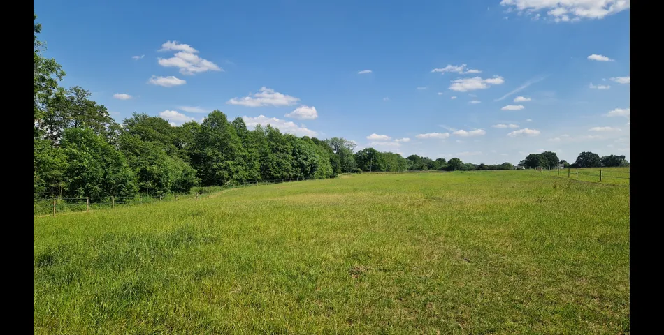 Land off Swanwick Hall Drive, Booth Bed Lane, Goostrey, Cheshire, CW4 8NB