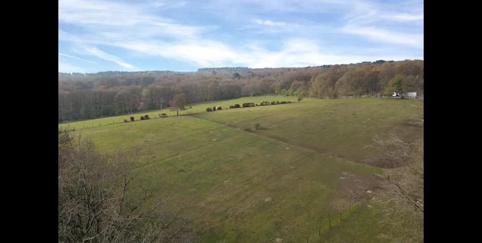 Land at Stafford Brook Road