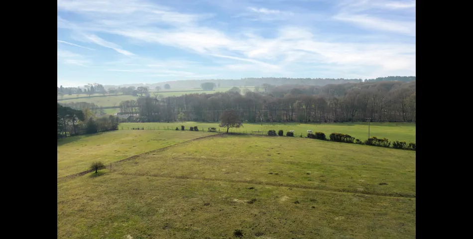 Land at Stafford Brook Road