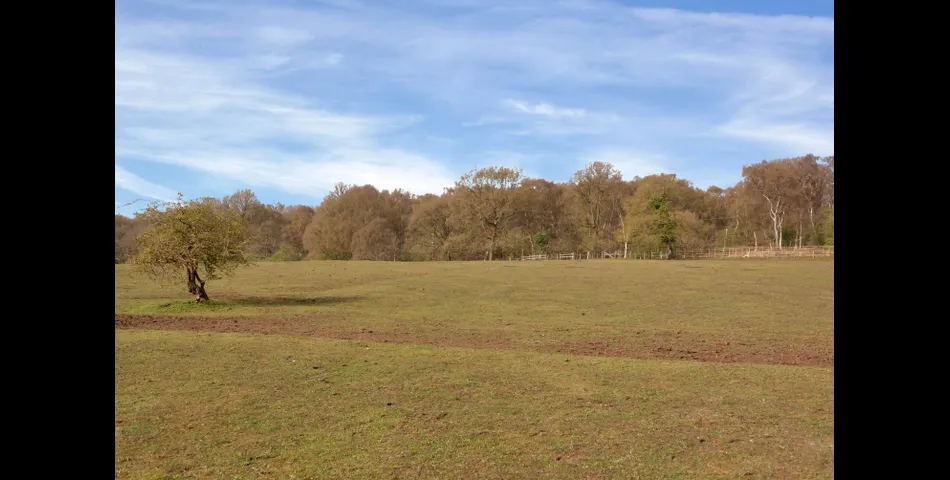 Land at Stafford Brook Road