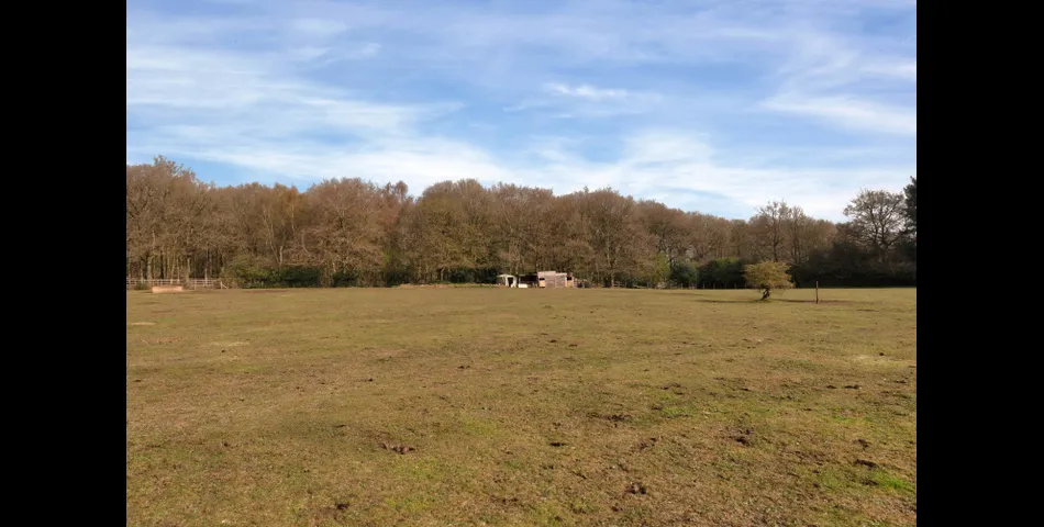 Land at Stafford Brook Road