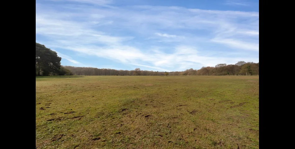 Land at Stafford Brook Road